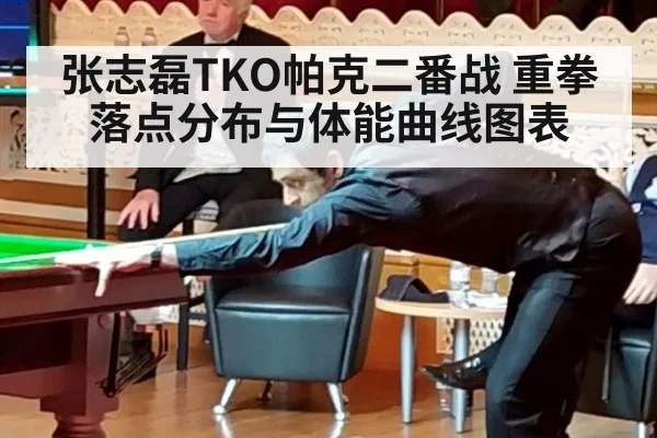 张志磊TKO帕克二番战 重拳落点分布与体能曲线图表